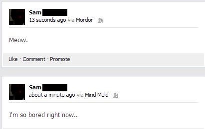 Mordor and Mind Meld